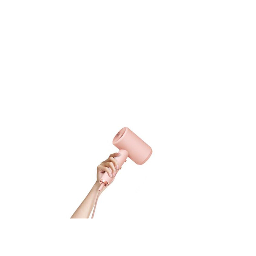 Dsport Hair Dryer Mini Portable Anion Temperature Blow Dryer