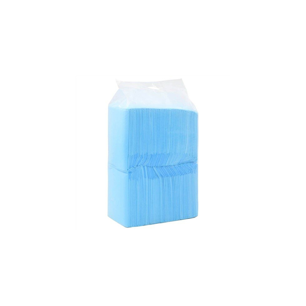 Dsport Pet Training Pads 20 Pcs 90X60 Cm Non Woven Fabric