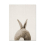 Rabbit Before and After the Computer Printing Decorative Painting Frameless Core, Size:40x50cm(Brown Rabbit Back) 1