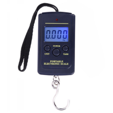 40kg x 10g Mini Digital Scale for Fishing Luggage Travel Weighting Steelyard Hanging Electronic Hook Scale Kitchen Weight Tool - with backlight