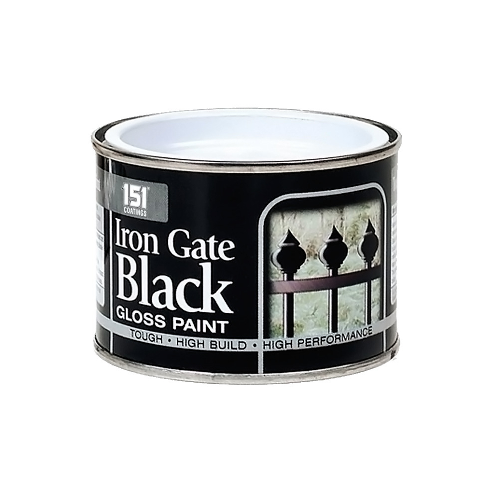 151 Iron Gate Black Gloss Paint 180ml