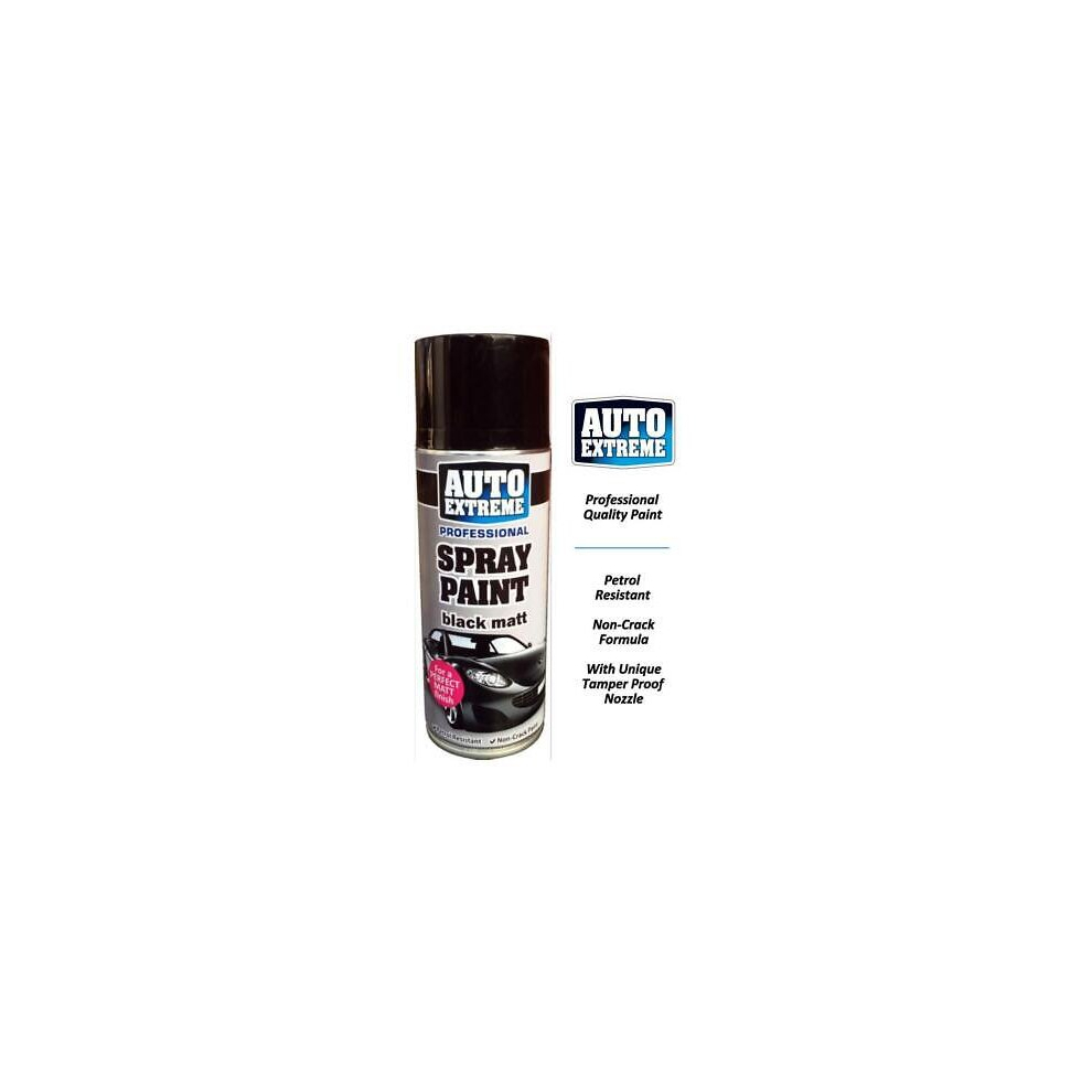 Rapide Auto Extreme Spray Paint Black Satin 400ml