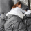 Imperial Rooms (Grey, Double (200 x 200 cm)) Plain Duvet Quilt Cover 3PC Reversible Bedding Set 5