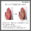 Hair Color Treatment - Orenge 5