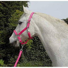 Unisex's Carnival Headcollar & Rope, Bright Pink, Cob