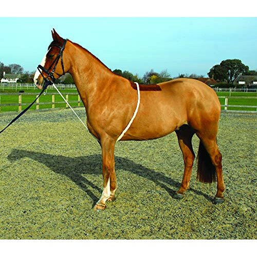 Soft Lunge Aid,White