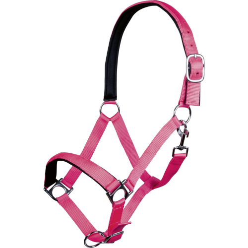 Stars Softice Headcollar Neon Green One Size 1
