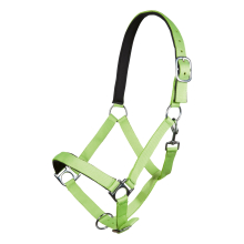 Stars Softice Headcollar Neon Green One Size