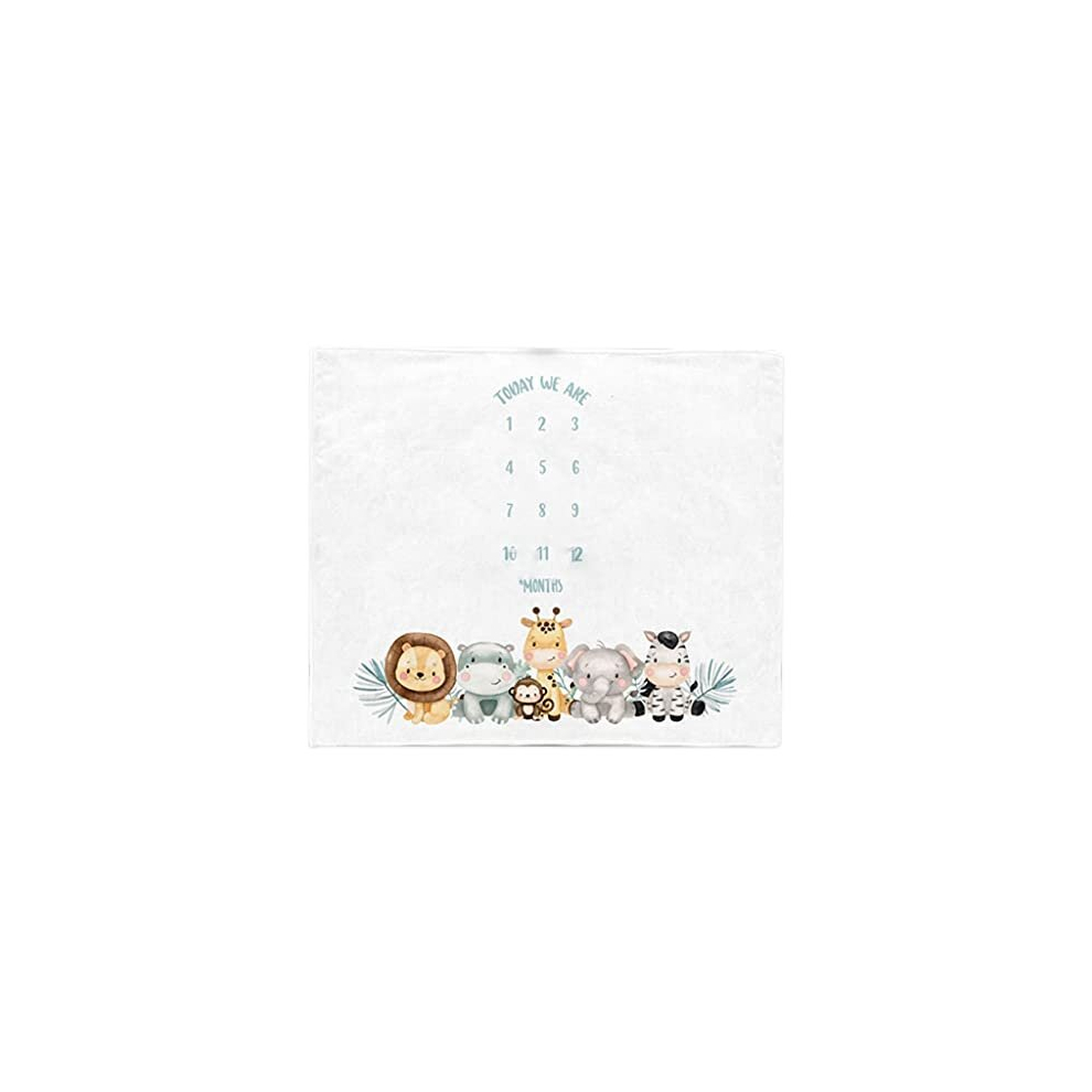 Twin Baby Monthly Record Growth Milestone Blanket Swaddle Wrap Photography Props Comeyer
