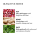 Molton Brown Fiery Pink Pepper Fine Liquid Hand Wash 300 ml 2