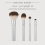 EcoTools Ecotools Precious Metals Cheek & Eye 3