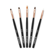 5pcs Nail Art Brushes Set, Professional Design Tools, Ombre, Liner, Fine Tip, Angled, Thin, Black