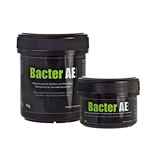 Bacter AE content 35 g 1