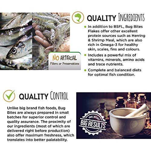 Fluval Bug Bites Algae Wafers 100 g 1