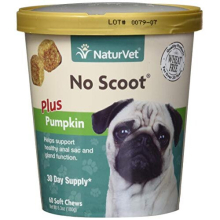 79903697 No Scoot Plus 60 Count Pumpkin Soft Chew