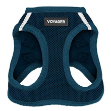 Voyager Step-in Air Dog Harness - All Weather Mesh Step in Vest Harness for Small and Medium Dogs by Best Pet Supplies - Harness (Blue), Large