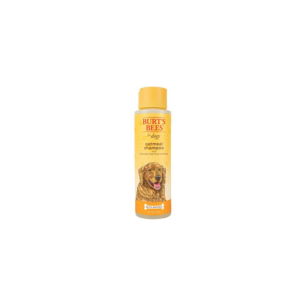 for Dogs Oatmeal Dog Shampoo | With Colloidal Oat Flour & Honey | Moisturizing & Nourishing, Cruelty Free, Sulfate & Paraben Free, pH Balanced for