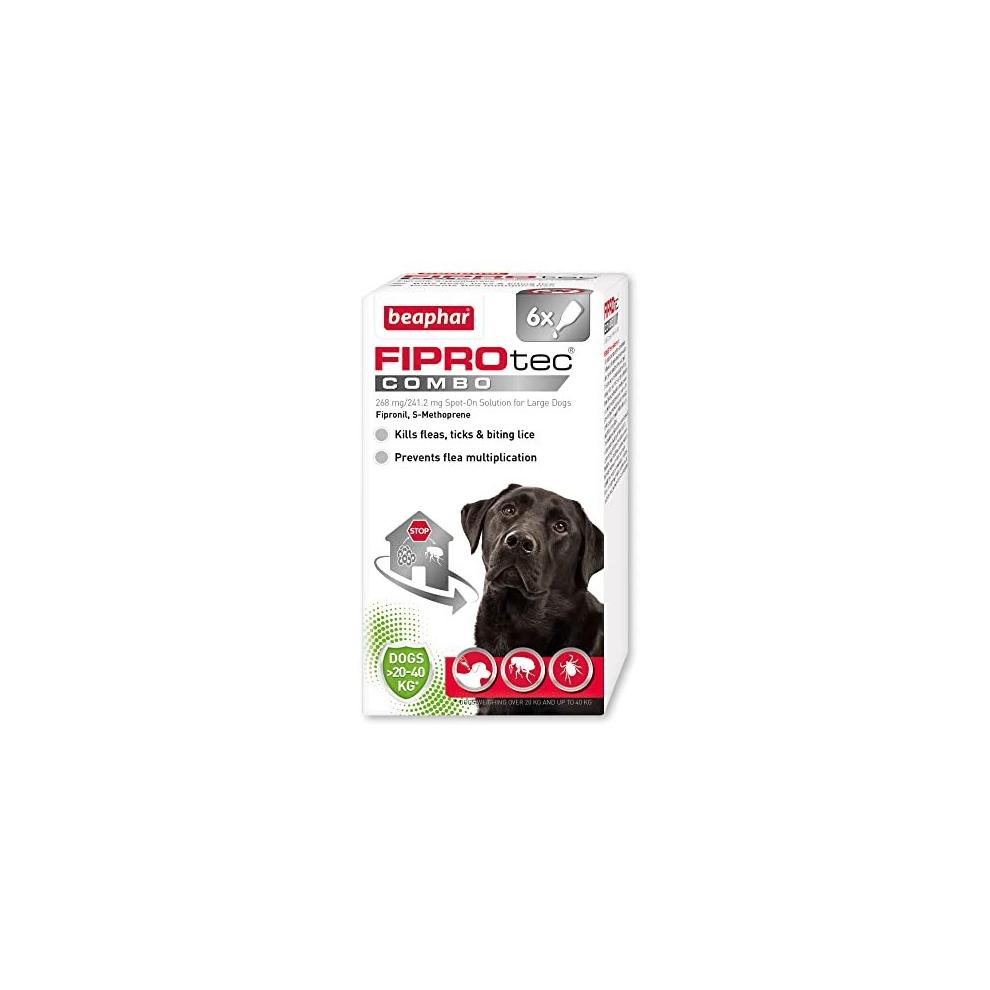 Beaphar | Fiprotec Combo For Large Dogs (20-40Kg) | Kills Fleas, Flea Eggs & Ticks | Stops Fleas Multiplying On Pet And In Home | Vet Strength Treatment | 6