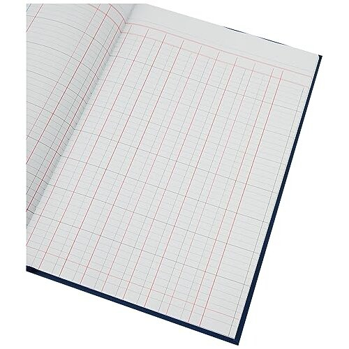  Ref 31/210Z Guildhall Account Book, 298 x 203mm, 2 Debit and 10