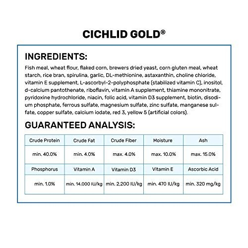 Hikari 8.8-Ounce Cichlid Gold Floating Pellets for Pets, Mini 2
