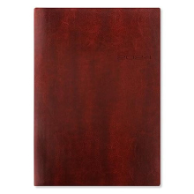 Letts Lecassa 2024 A4 week to view diary - brown