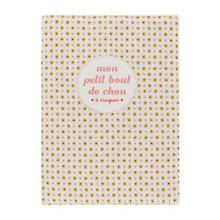 Derrière la Porte Baby's Health Book Cover [French Language]