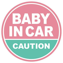 Baby in Car Magnet (Light Pink/Turquoise) - Baby on Board Magnet for Car - No Sticker or Suction Cup - Baby on Board - Baby in Car Sign Sticker Decal