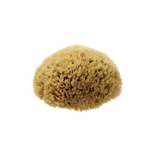 Hydrea London Natural Sea Sponge 4 - 4.5"- Premium Mediterranean Honeycomb Unbleached Natural Sponge for Adults, Women, Men Children and Baby