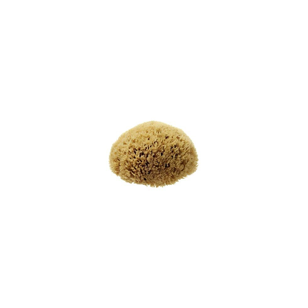 Hydrea London Natural Sea Sponge 4 - 4.5"- Premium Mediterranean Honeycomb Unbleached Natural Sponge for Adults, Women, Men Children and Baby