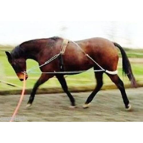NEW Horse Lunging Training Aid white one size fits all 1