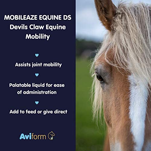 MOBILEAZE EQ Equine Mobility - Devil's Claw Equine Mobility Supplement with Added MSM 1000ml | Express Delivery available 2