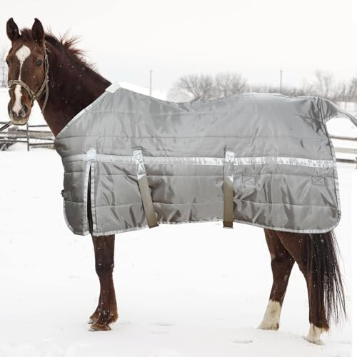 Horse Turnout Blankets Winter 1200D Waterproof, Horse Sheet with 400g