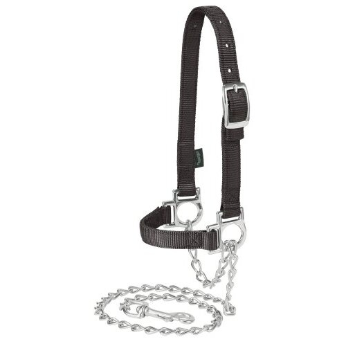 Livestock Nylon Adjustable Sheep Halter with Chain Lead, Black