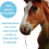 MOBILEAZE EQ Equine Mobility - Devil's Claw Equine Mobility Supplement with Added MSM 1000ml | Express Delivery available 6
