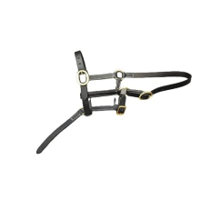 FOAL LEATHER HEAD COLLAR HALTER BLACK