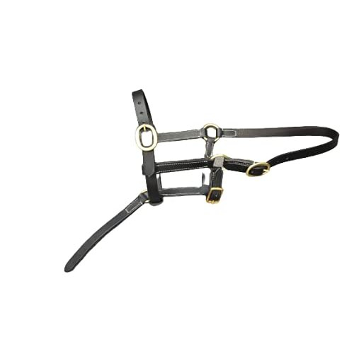 FOAL LEATHER HEAD COLLAR HALTER BLACK 1