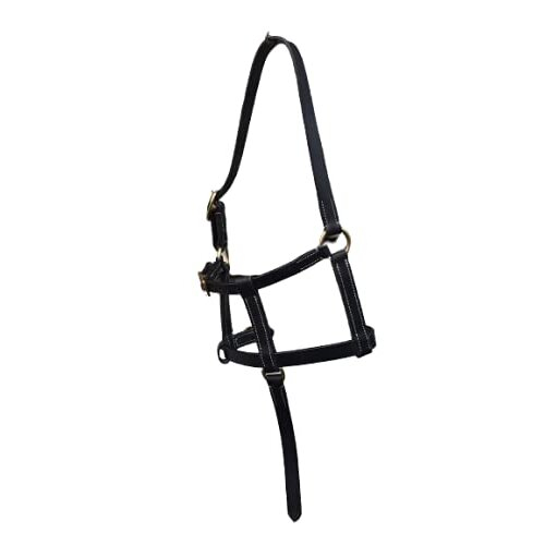 FOAL LEATHER HEAD COLLAR HALTER BLACK 2