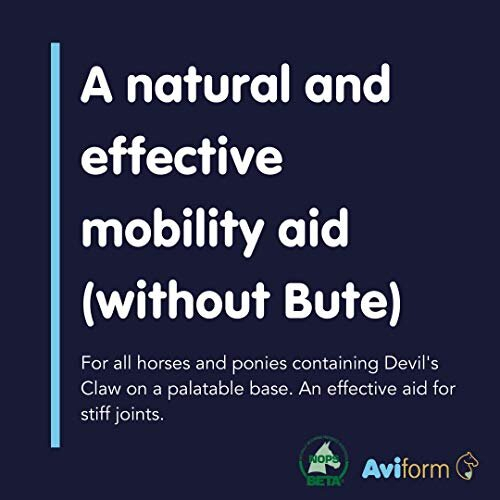 MOBILEAZE EQ Equine Mobility - Devil's Claw Equine Mobility Supplement with Added MSM 1000ml | Express Delivery available 1
