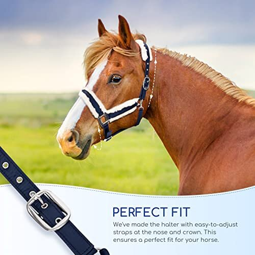 Horse Headcollar Fleece Trim, Fully Adjustable, Training Halter 2