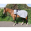 Rhinegold Embroidered Ride-On Rug-Full-Grey 1