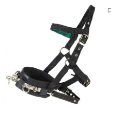Equestrian - Horse/Pony Lunge Cavesson - Black (Small)
