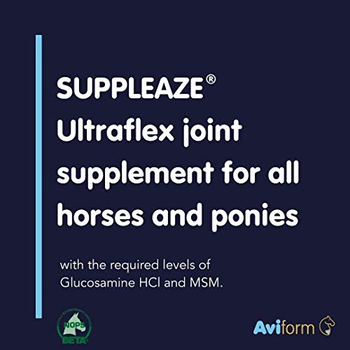 Suppleaze Ultraflex (1Kg) 1
