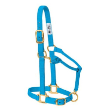 Nylon Miniature Horse Adjustable Halter