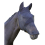 Fly Mask for Horses 1