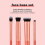 Real Techniques Real Techniques, Gesichts-Basis-Set, 4-teilig 3