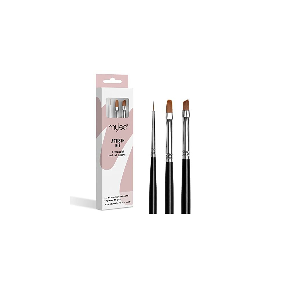 Artiste Nail Brush Kit, 3x Brushes Design for Gel Nail Art & Polish Application, Oval, Angled, Fine, Professional Quality Manicure Painting Tool,