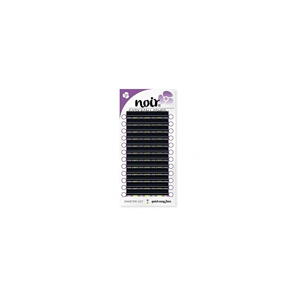 Noir Volume Lashes Easy Fan Lashes D Curl 0.07 14Mm Russian Volume Self Fanning Eyelash Extensions