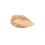 Full Coverage Blurring Powder Foundation 20 | High-Coverage Powder Foundation 2