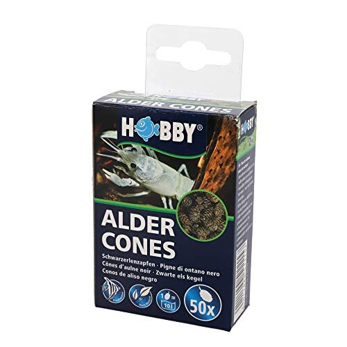 51115 Alder Cones