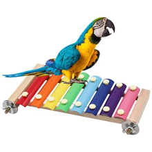Colorful Bird Xylophone Toy, Suspensible Funny Xylophone Toy with 8 Metal Keys, Bird Cage Toy Accessories for Chicken Bird Parrot Parrot Parakeet